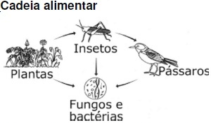 0_cae0f30aa9145479acac4231bc05425c_483850.jpg.png