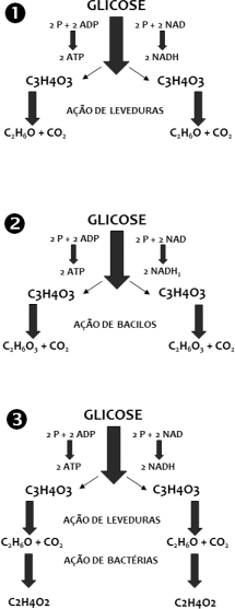 0_cb1b06d53c2da282054800e5c7da04a3_7341242.jpg.png