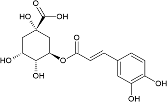 0_cb5eab298974f1a0a1d911052a7315c6_14965412.jpg.png