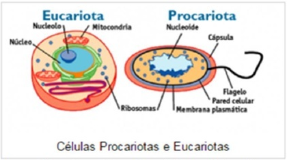 0_ccf1ea79d9652ddd568a1628e201b9ec_483714.jpg.png