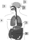 0_cd63a2c252b32de0cae103356e8debea_10532187.jpg.png