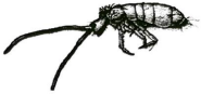 0_ce90c4c8b004e1e10852529cecf3fb57_15298442.jpg.png