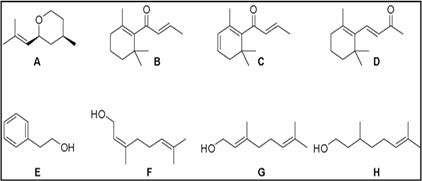 0_cef0bf69ffcfbc777ed6486e77d45691_15068111.jpg.png