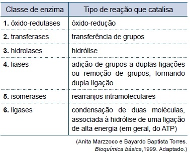 Exemplos De Enzimas