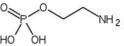 0_d0e36c8f3bee5e0a3a0a4f39af05e4f6_11899139.jpg.png