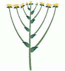 0_d0ff4c00f659aea263e8802d78fa6024_369558.jpg.png