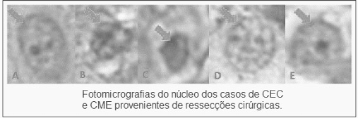 0_d12ec810f5681cb68627f4d214d4d7ce_14969061.jpg.png