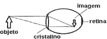 0_d15742ea609d9e4be239d00be2b970de_11671042.jpg.png
