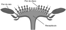 0_d159891cd6d3926ec97a76a542f8e32a_14326700.jpg.png