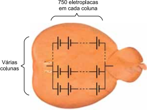 0_d194cac038aeba975314e0e3c56704e7_16362858.jpg.png