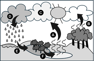 0_d20fe0cec66f0c93c5f9cf4014ab2b28_14619080.jpg.png