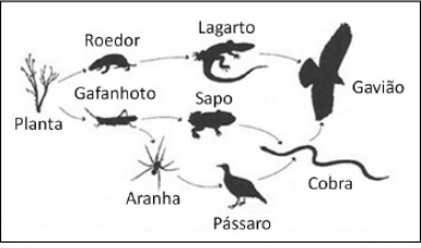 0_d23d5f375bf301a618b0ebf90310136a_304827.jpg.png
