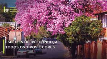 0_d38accacca2dcb5d53e0e5c285601ca7_14725222.jpg.png