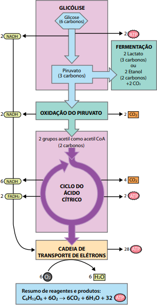 0_d3a4c8de5e2a44aec73442d92dc38a70_15957537.jpg.png