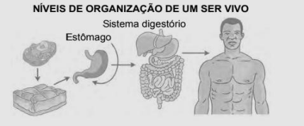 0_d43e3da2e4cf793cad05212ea3bd3112_15690165.jpg.png