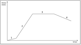 0_d50a6090baf7f3227947ef9b3fda125c_14483325.jpg.png