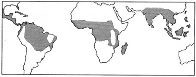 0_dcca1f6f19410cf0f70dc66f5e82ea52_14976481.jpg.png