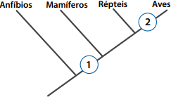 0_dcd48136c85daa96e18eaacf4a7500de_15958000.jpg.png