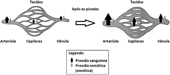 0_ddd1af0a61a789caef1425a1a1aad228_11722427.jpg.png
