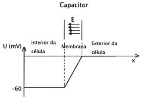 0_ddfb6d2ad27d21aa102041f678c79cba_129488.jpg.jpeg