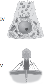 0_de43e11f9dd6cb56923b1b90e9eed7ea_12065882.jpg.png