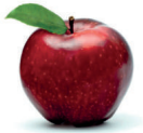 0_deb821c7751b83519390a70ed6cf37b9_11546143.jpg.png