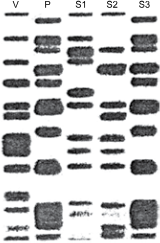 0_df9c7327c8434d03fea37827ad0c57b5_11739064.jpg.png