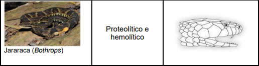 0_dfdecbb5697fe77227ae45eedf7ae511_14654878.jpg.png