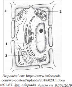 0_e03d991ff03f77c5cc41d1d032414654_7702150.jpg.png