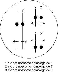 0_e857d8c9f7b20b8b0d777edf21333a92_16190340.jpg.png