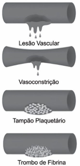 0_e94ddec84cd8e9a08e2c4b8beae97d7b_15178289.jpg.png