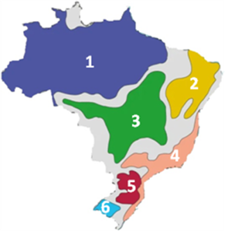 0_eb594f3fe43f388a4a714d2c3dade461_14629399.jpg.png