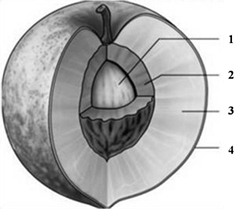 0_ebc4777bffd54afb2692fd079f92d912_14810192.jpg.png