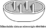 0_ec408041da46e70b2728185f3c1bcff2_11761574.jpg.png