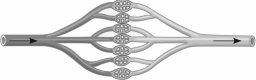 0_ec743316d7e22806e8b64ac3acde67da_15459125.jpg.png
