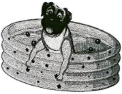 0_edbbf44659837c1518ea51278cbbcf07_15298277.jpg.png