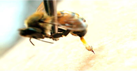 0_eef84216e55a119e1b73af306d44490d_14802580.jpg.png