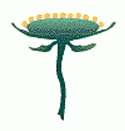 0_f05c7d31c9582cf1682f191440e6b28f_369558.jpg.png