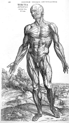 0_f237bd229e5406b3557c2a373d4fe219_16286120.jpg.png