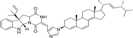 0_f265cba102238da2a90ffd6dd107e529_16121360.jpg.png