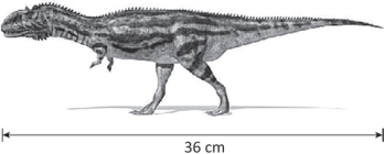 0_f2bdca50b8a40061de7da76de3df0c8f_15412006.jpg.png