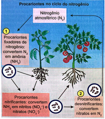 0_f3c1ffb8b7228c5fa83c977b55c7cde3_13556700.jpg.png