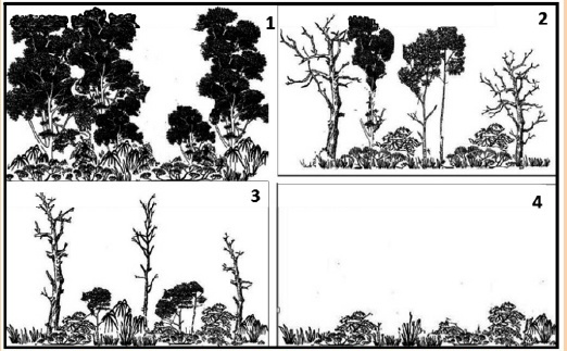0_f4ecb78864eab34f8486f7781b22d043_47015.jpg.png