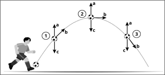 0_f6204d3a1716bfd7b425005ef103c42b_16287364.jpg.png