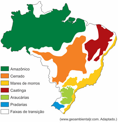 0_f7fc0f759ce2e46eba58e93796b8aa07_14914522.jpg.png