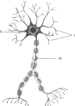 0_f827e5bedf1752018a6b92f3ffa96bf8_11761980.jpg.png