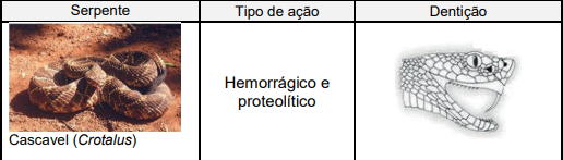 0_f9fe84fbd0135c59c2ac696ed0bee0de_14654878.jpg.png