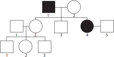 0_fce2f5b88aad3a2c9d027aec712134bc_14609927.jpg.png
