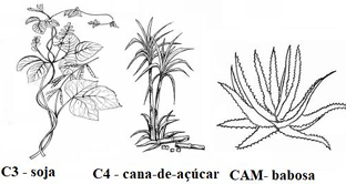 0_fd46bc7dda495a5b09e8f7c988847c60_14494912.jpg.png