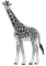 0_fd479462bdba4cfc25710d7ad42828e8_11894691.jpg.png